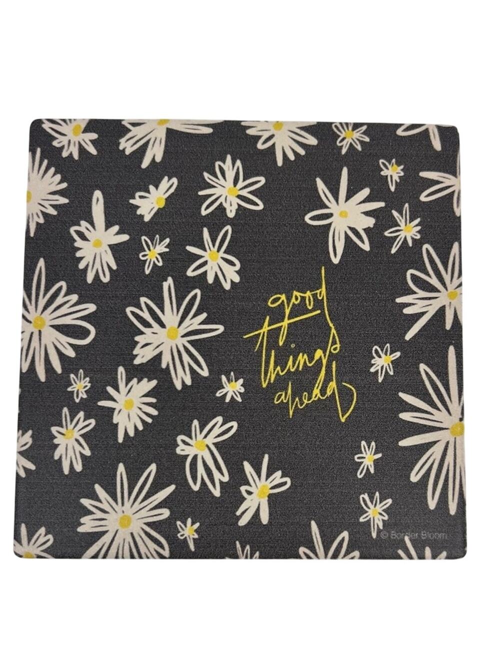 Thirstystone Good Things Ahead Cork Bottom Coaster - NWT